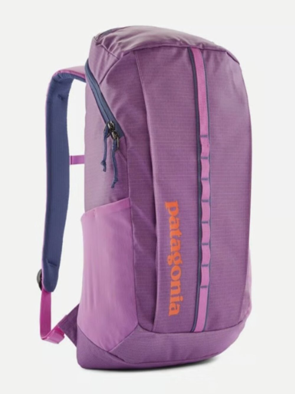 NEW PATAGONIA Black Hole Pack 25L Backpack Bag - BRISK PURPLE 49298